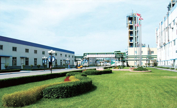 景縣達因機械有限公司
